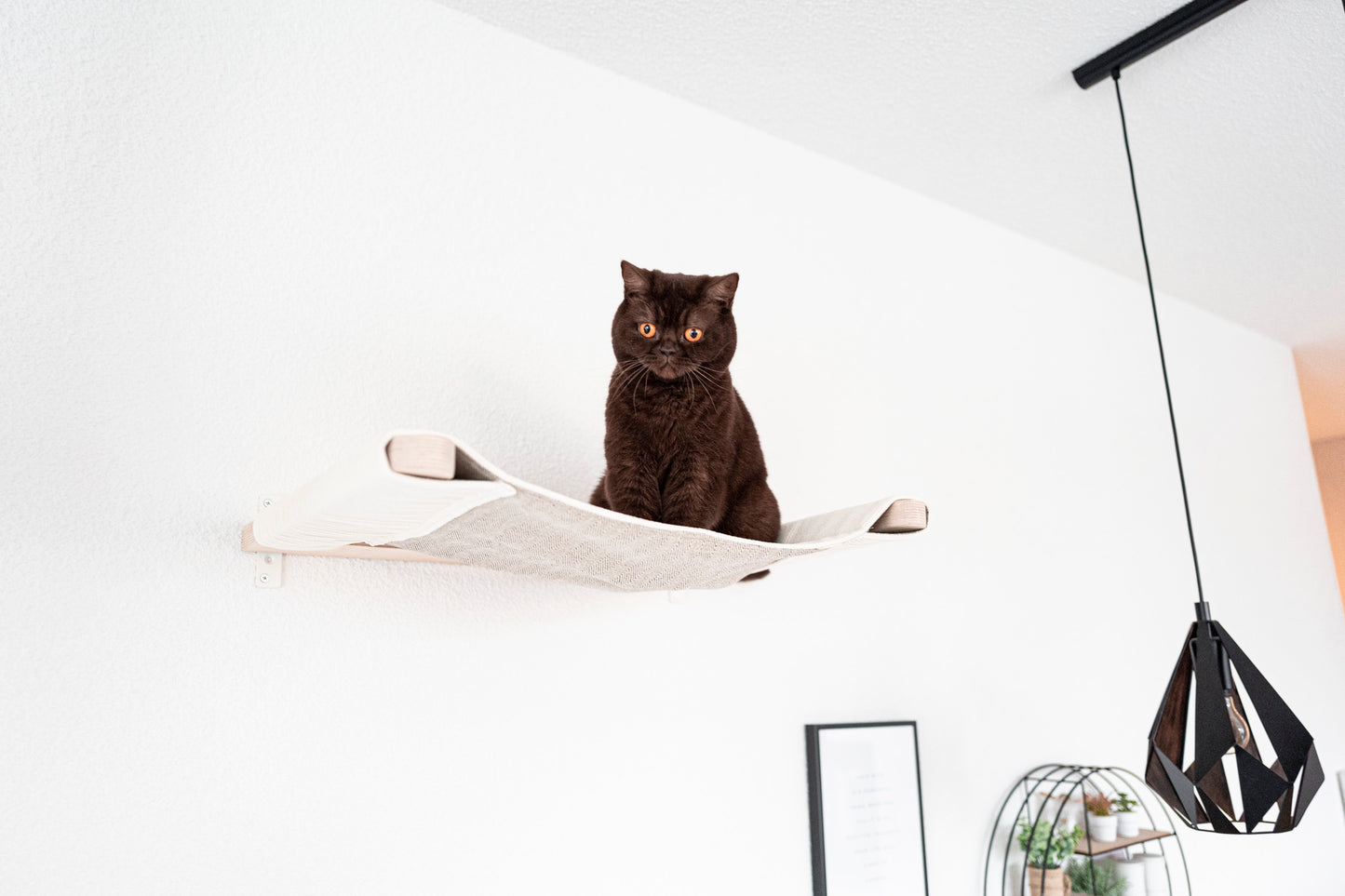 Katzen Hängematte für die Wand