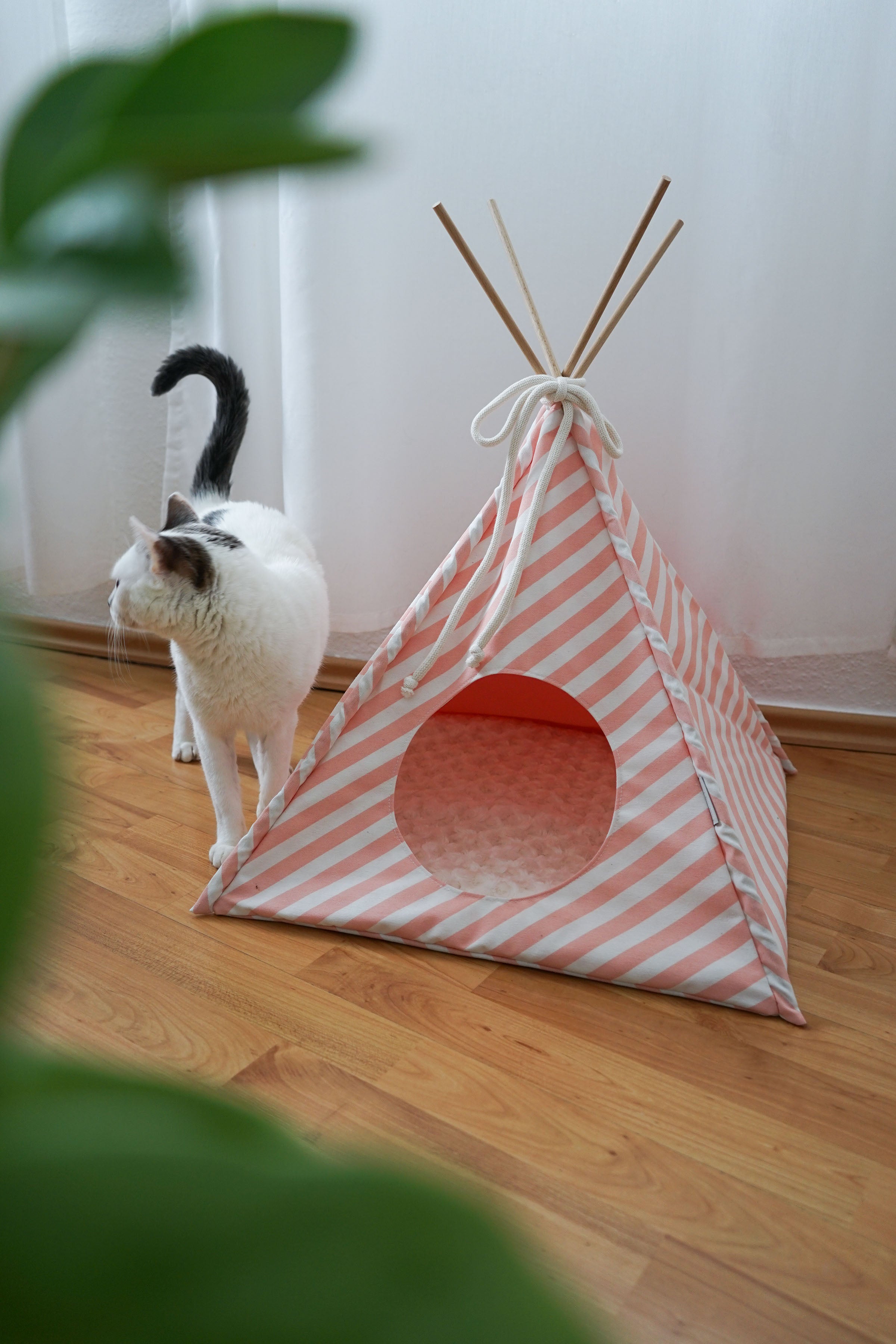 CAMP Katzentipi aus Birke im rosé gestreiften Design (Rosalia) mit Katze
