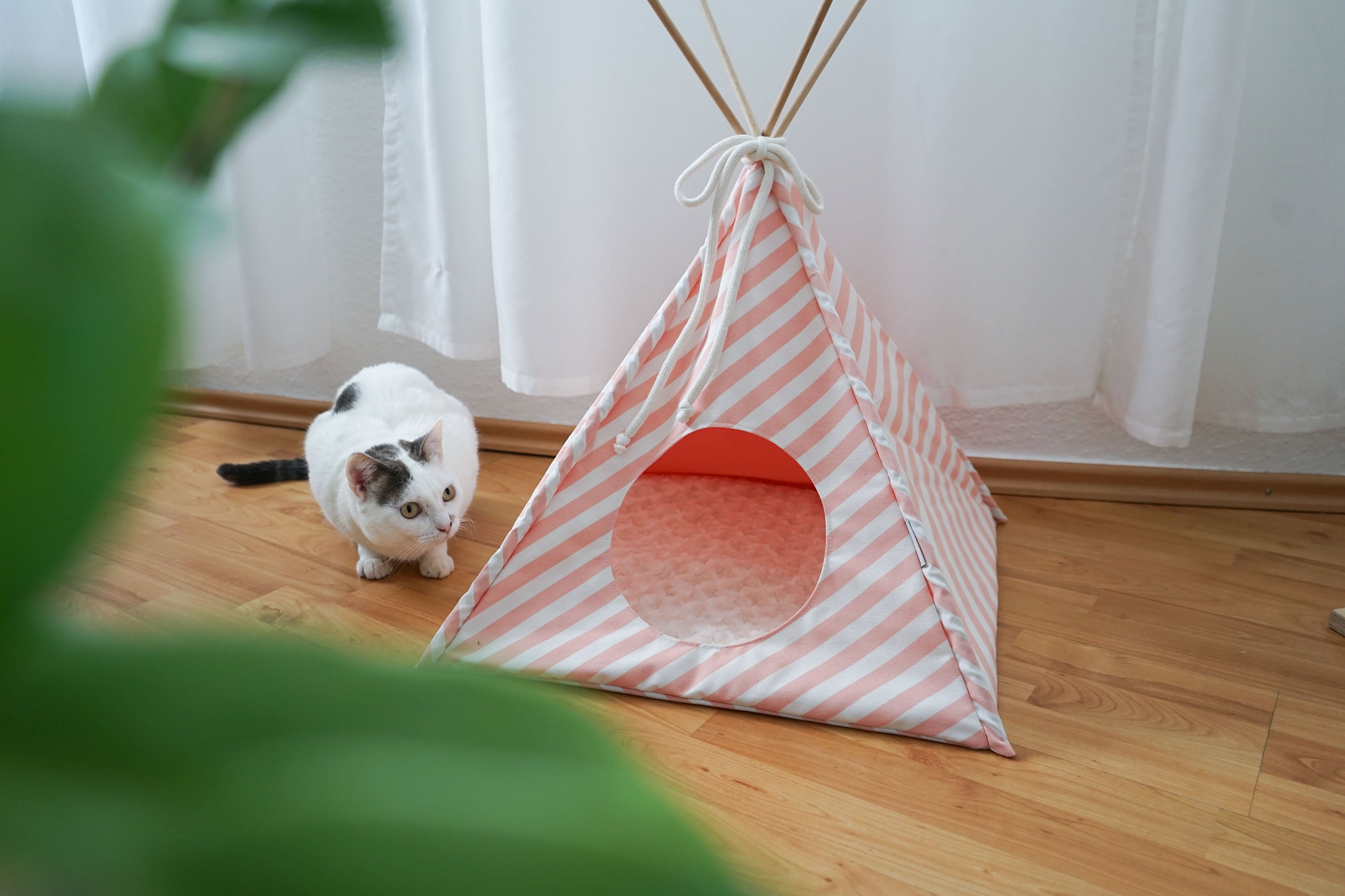 Rosé gestreiftes Indoor-Zelt für Katzen aus Birkenholz mit neugieriger Katze