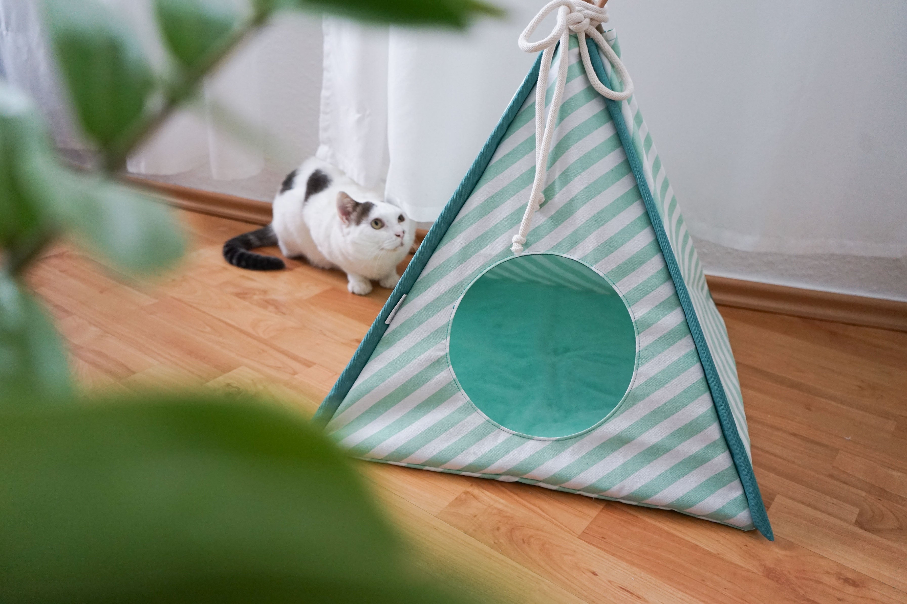 Mintgrün gestreiftes Indoor-Zelt für Katzen aus Birke mit Katze im Wohnraum