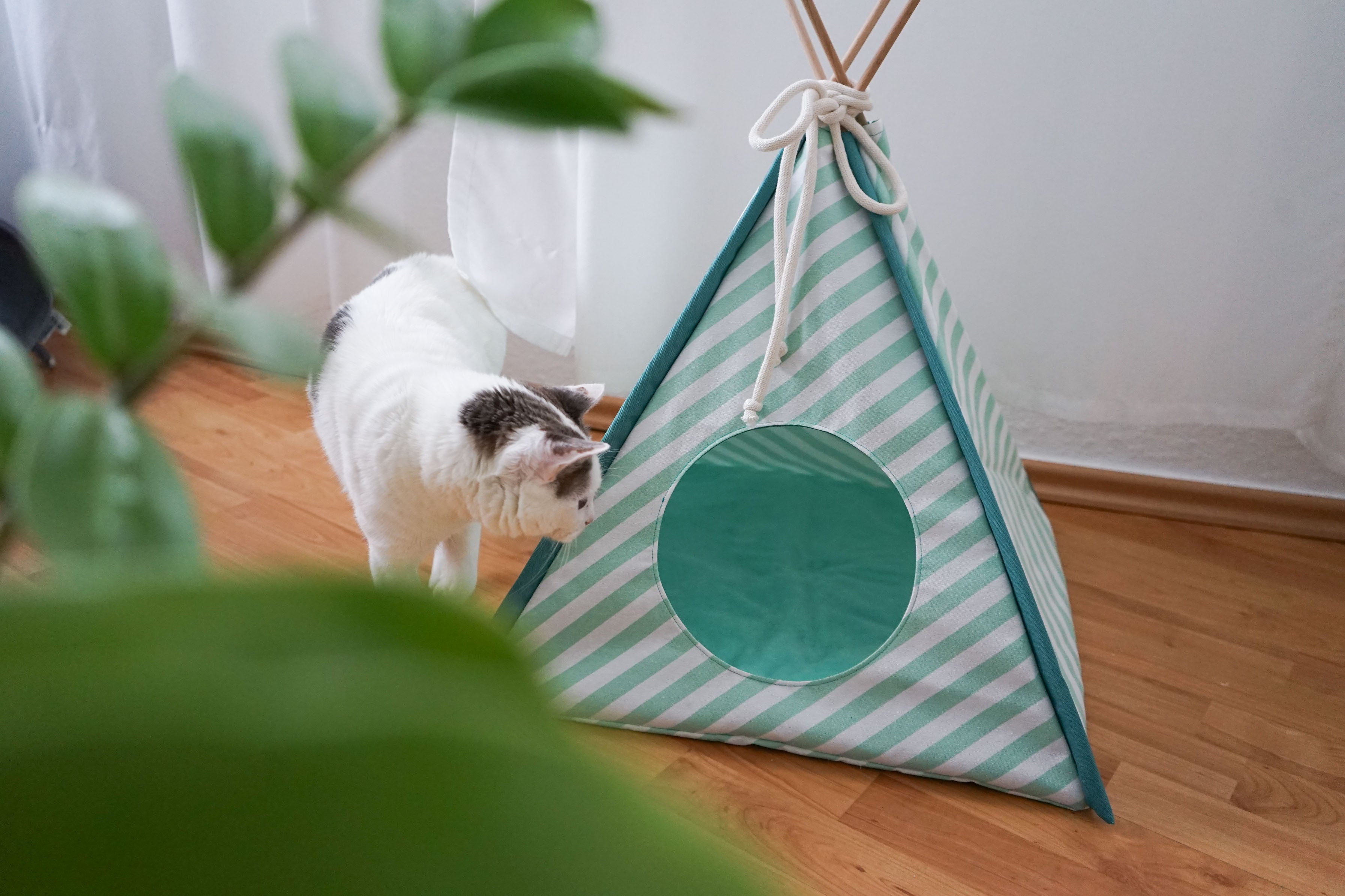 Katze schnuppert am CAMP Katzenzelt aus Birke im mintgrün gestreiften Design (Aquamaria)