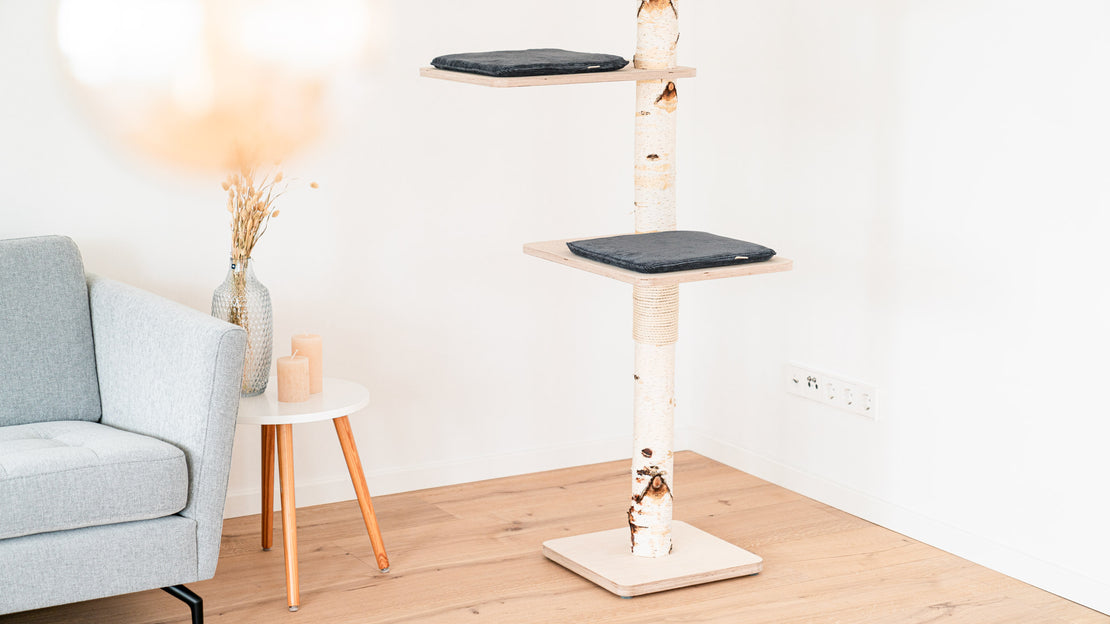 Kratzbaum mit zwei COZY CORD Liegekissen in Anthrazit im modernen Wohnzimmer
