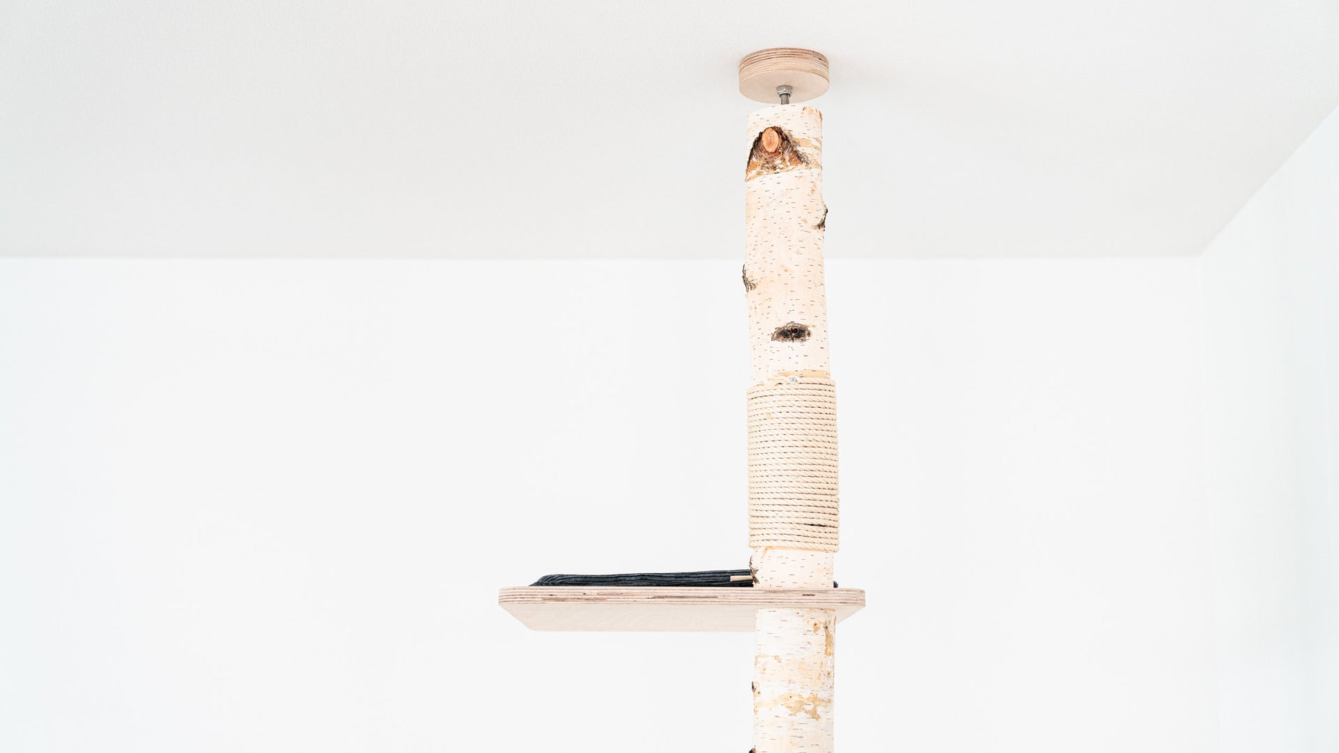 Deckenspanner-Detail des PURE SKY Naturholz-Kratzbaums