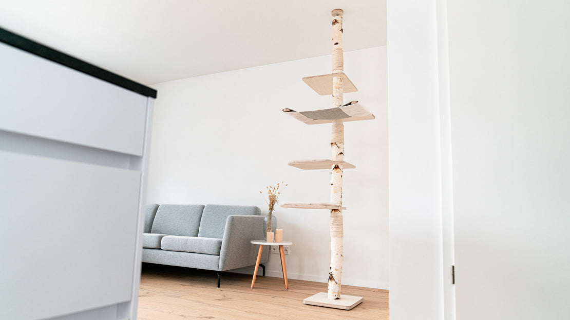 PURE SKY in einer Mietwohnung – deckenhoher Kratzbaum ohne Bohren