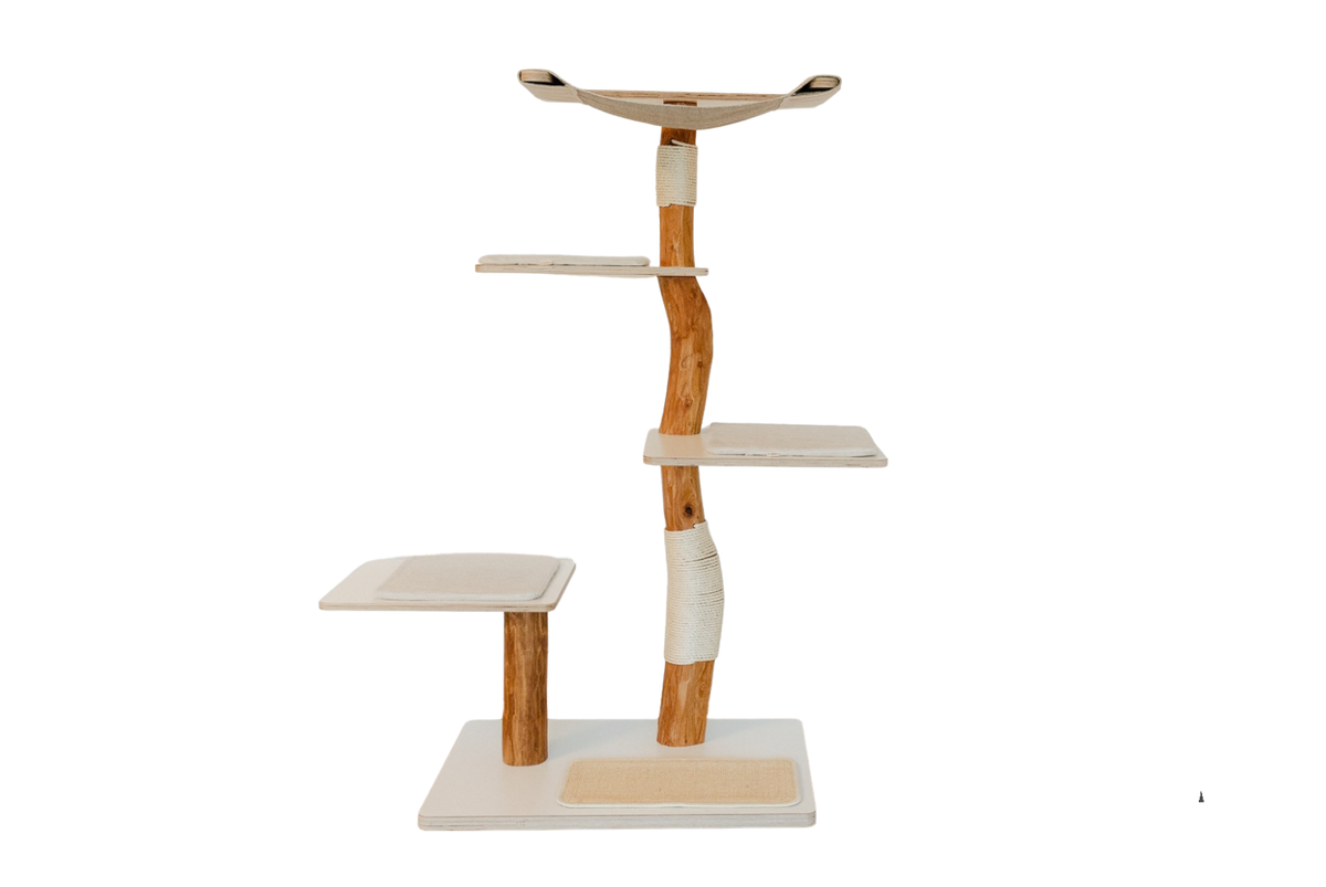 FORM – Design-Kratzbaum aus natürlichem Robinienholz