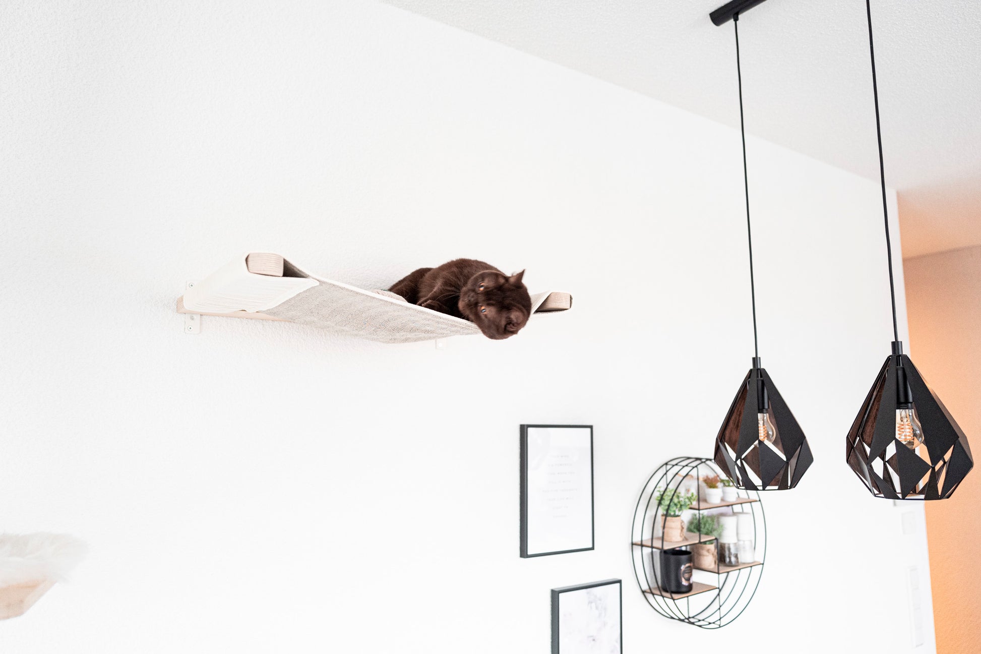 katzen hängematte wandbefestigung Katzen Hängematte für die Wand – CADO