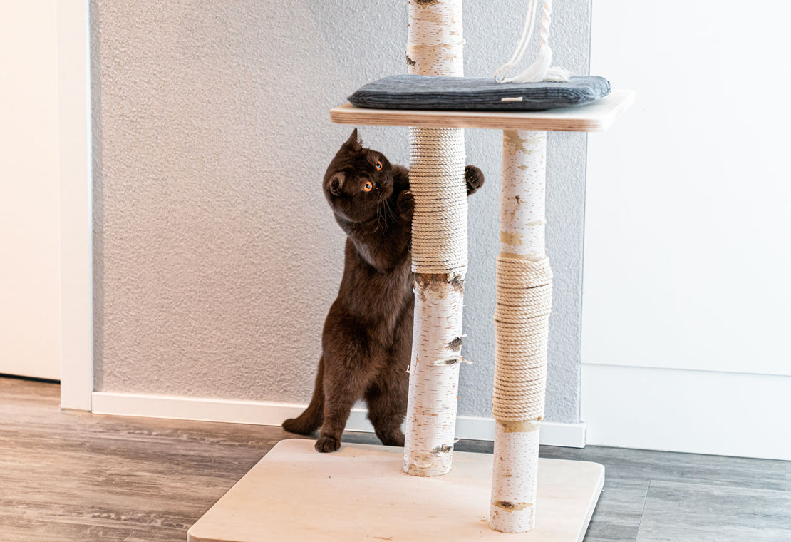 Katzenbaum-Natur hochwertig und stabil für grosse Katzen