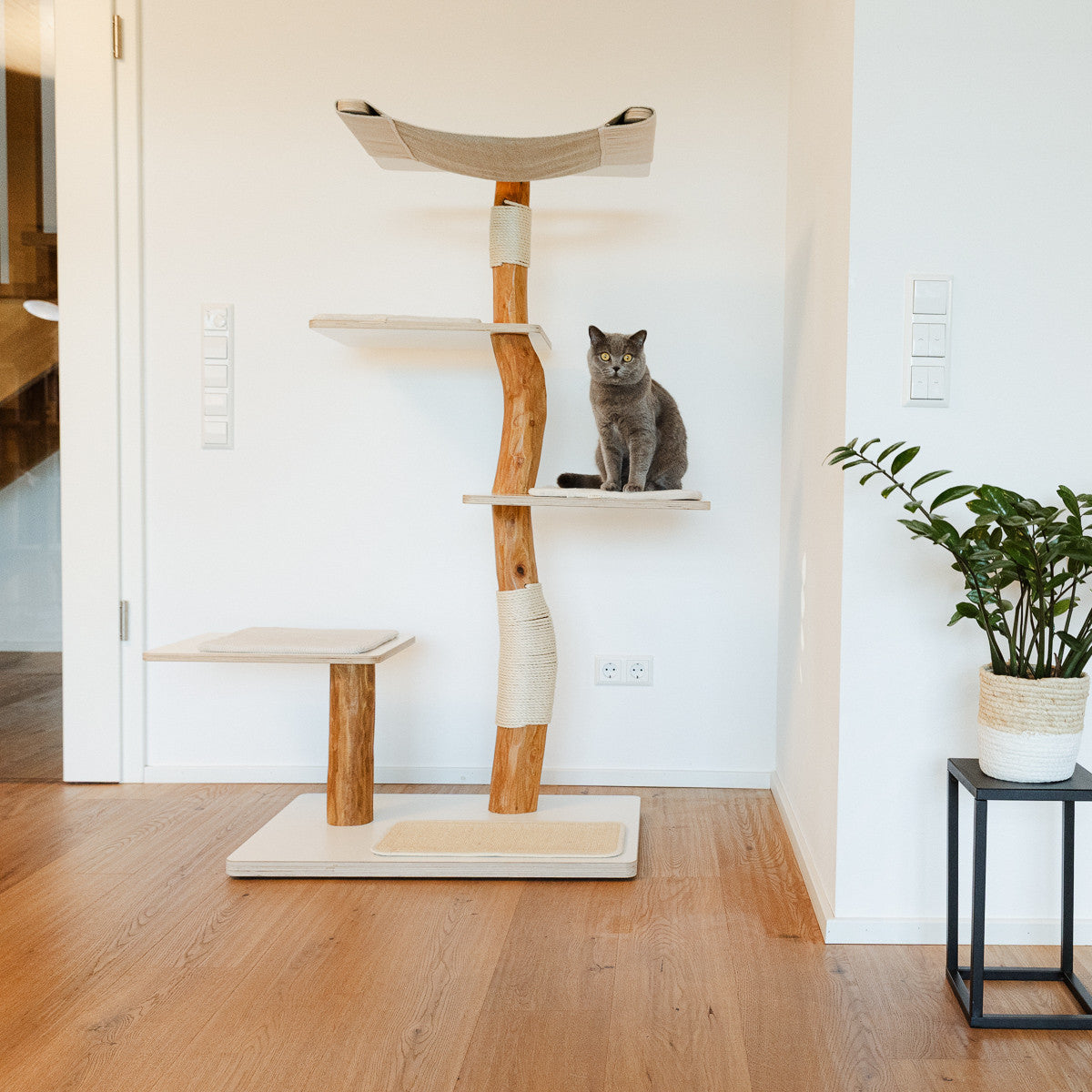 FORM – Design-Kratzbaum aus natürlichem Robinienholz